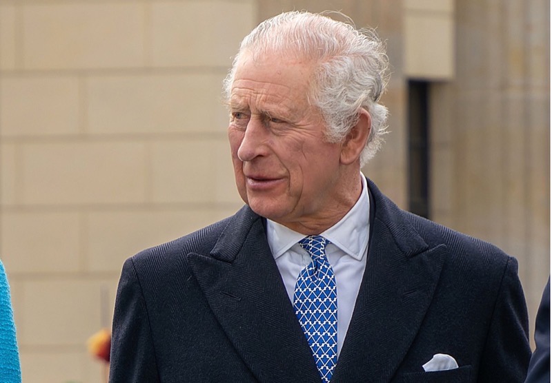 King Charles Slammed For Not Thinking Of His Grandchildren