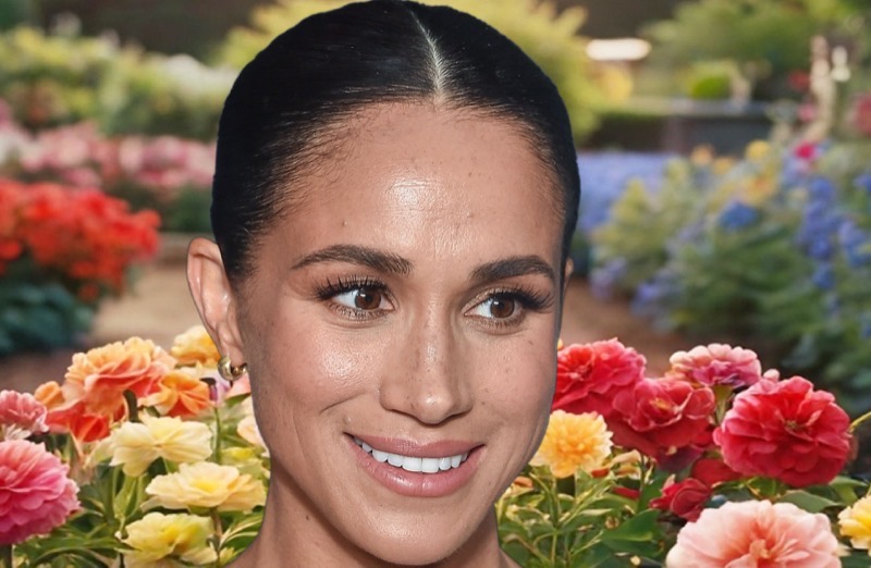 Meghan Markle Has A New Project She Is Working On