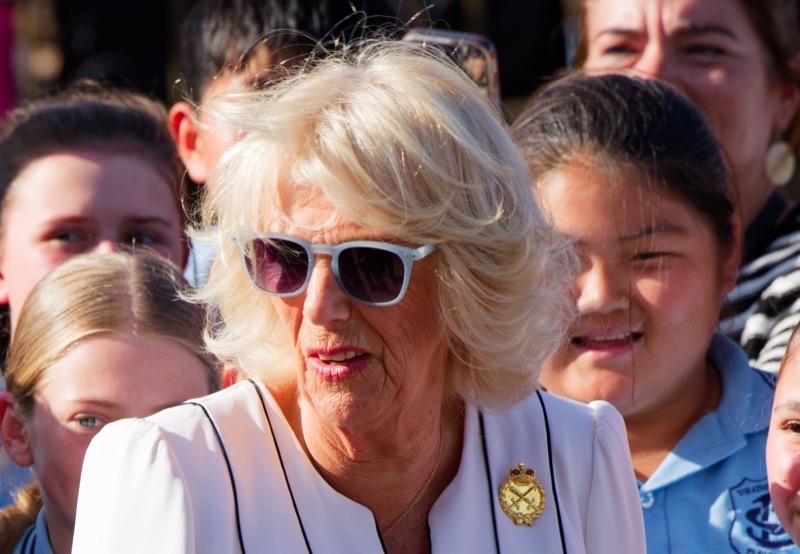 Shady Things That Queen Camilla Has Done This Year