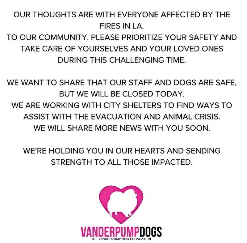 Vanderpump Dogs Scrambling To Help Animals In LA Fires - Instagram