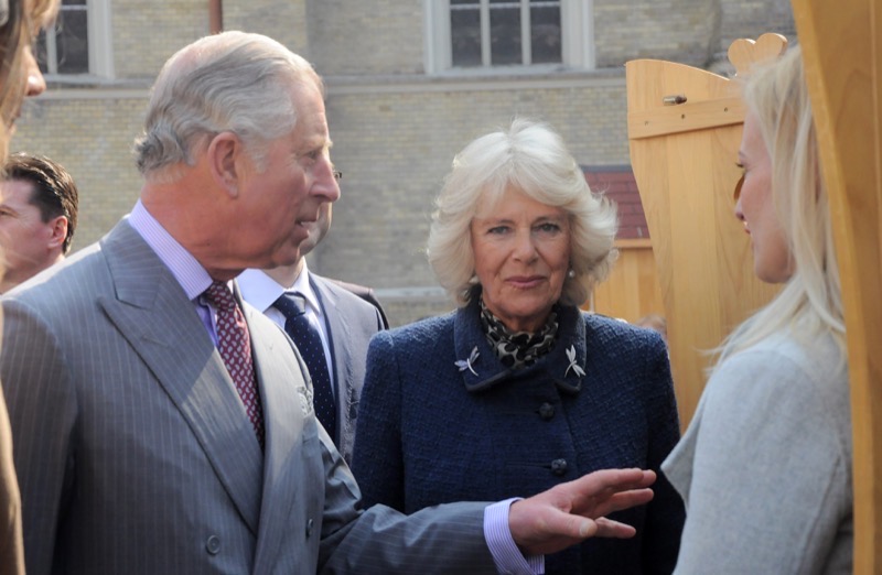 Queen Camilla Makes An Embarrassing Confession