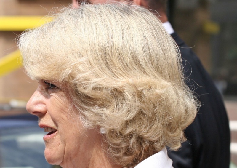 Three Times The Rumor Mill Caught Queen Camilla Acting Sketchy