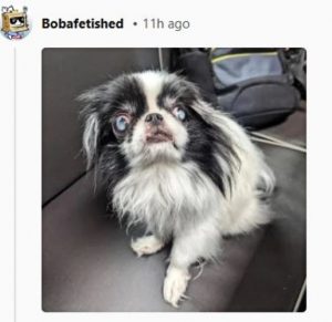 Amusing Memes On The Post About Tim - Reddit