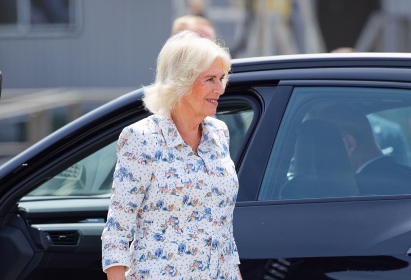 Vintage Queen Camilla Portrait On International Women’s Day Speaks Volumes