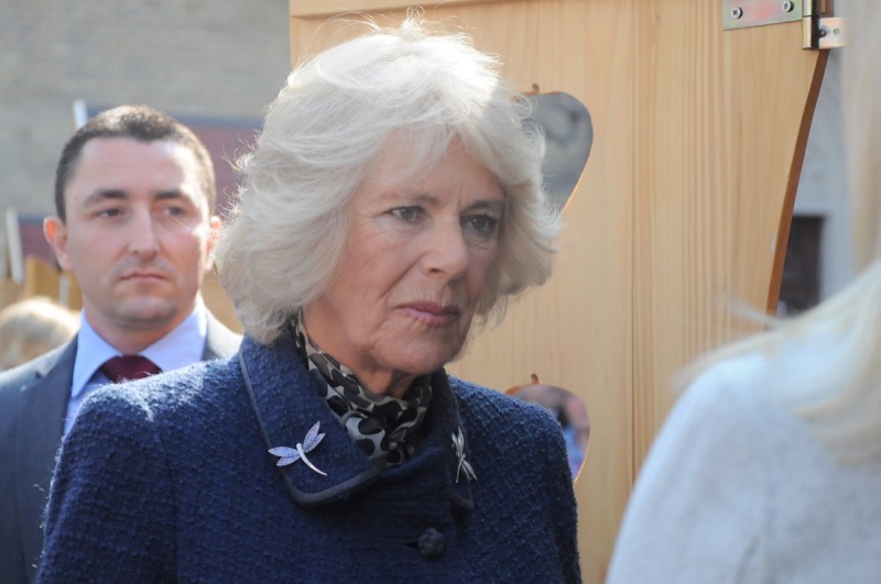 Queen Camilla's Bold Move Against Prince Harry