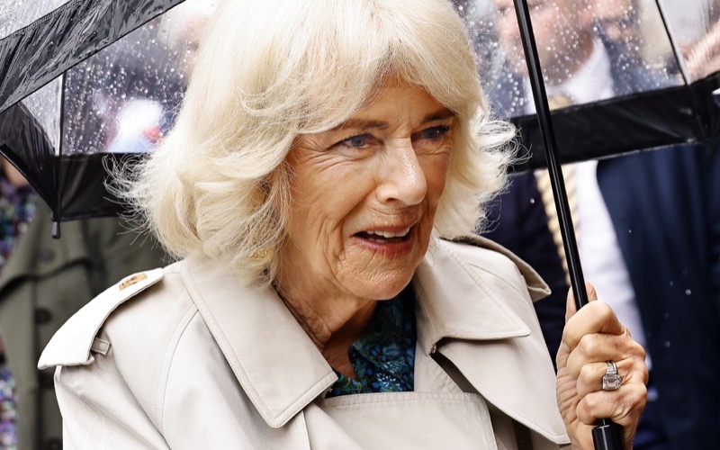 Queen Camilla Thanks French Domestic Abuse Survivor Gisèle Pelicot for Her Courage