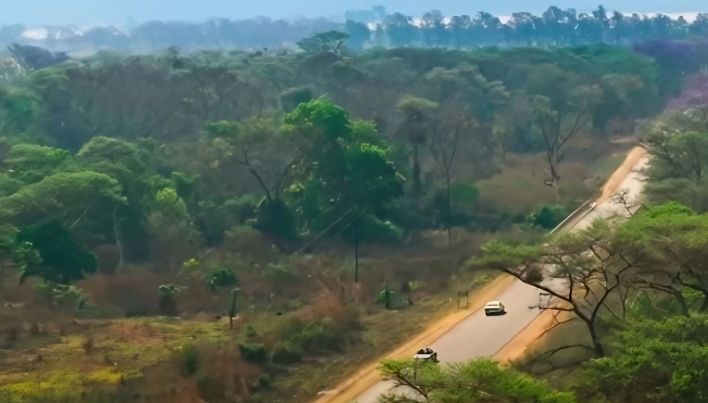 Scenery in Zimbabwe on the finale - Amazon