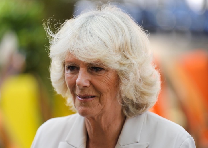 Queen Camilla Is Stonewalling Kate Middleton
