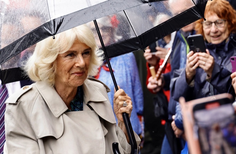 What Can Queen Camilla Do About The King's Workaholic Nature Amid His Health Condition