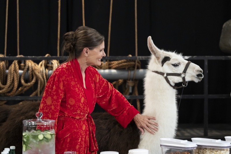 'General Hospital' Recap May 21: Llama Chaos, Lois Exposed, Portia Under Fire, & Kristina's Meltdown