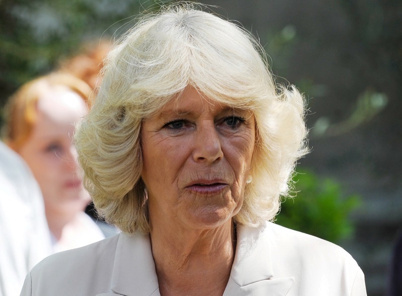 Queen Camilla Is Still Trolling Meghan Markle Over One Of Her Biggest Failures