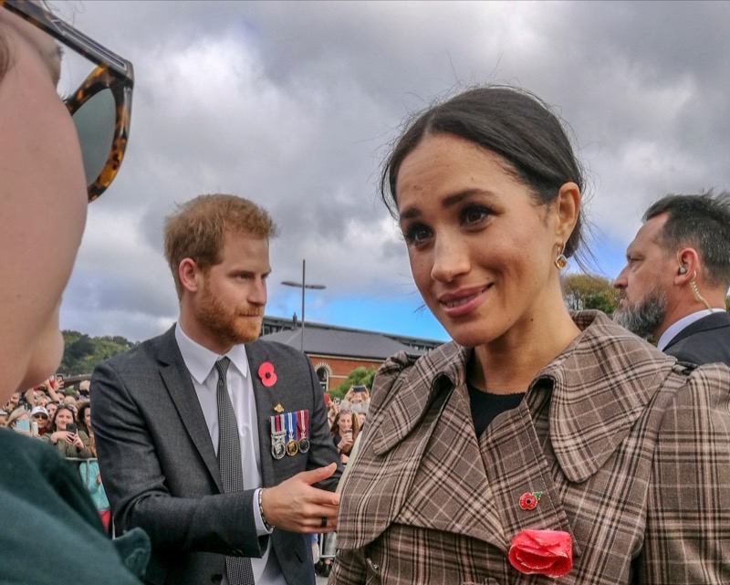 This Ex-Royal Aide Is No Fan Of Meghan Markle