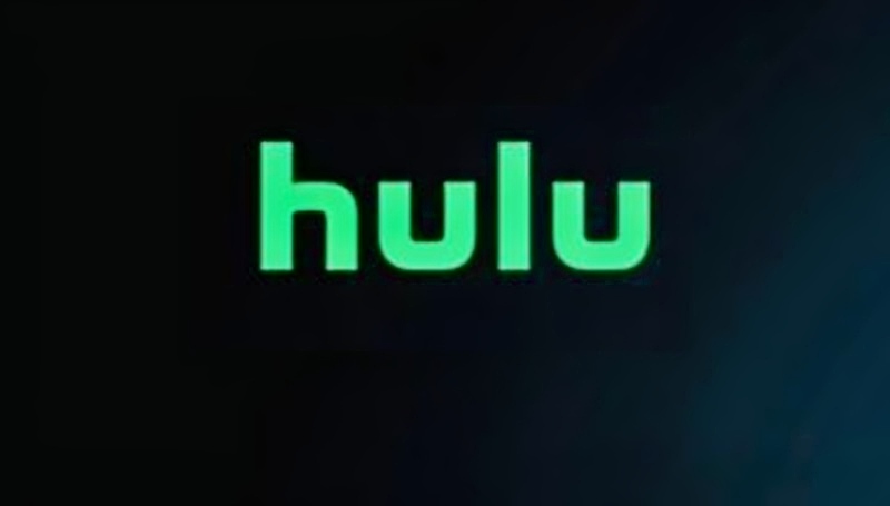 Hulu and DisneyPLus Will Air Are You My First - YouTube