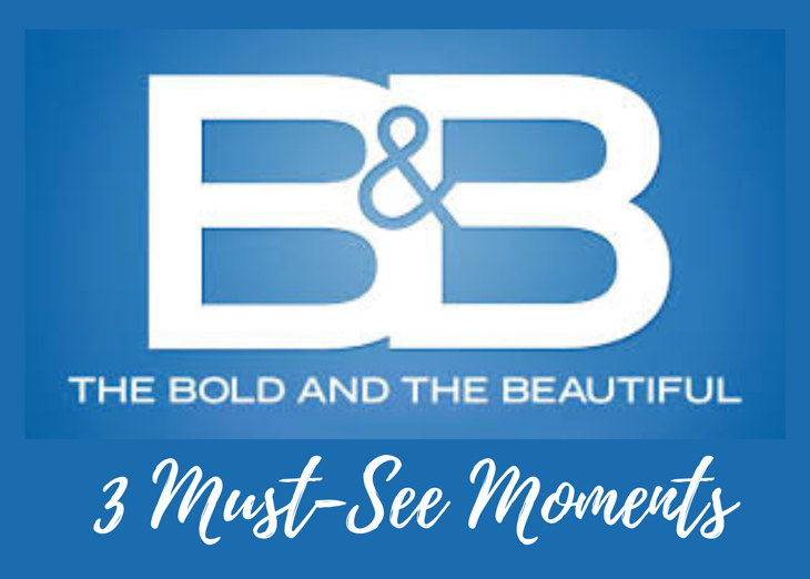 The Bold and the Beautiful s