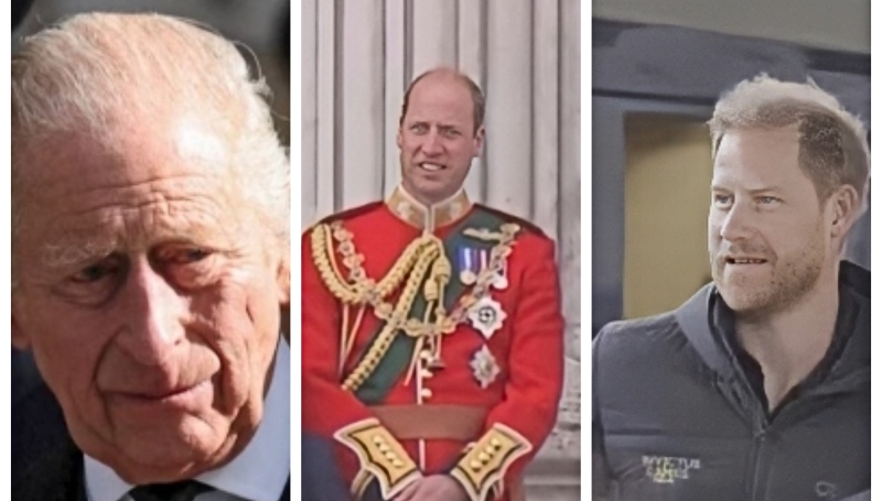 Prince Harry, William and King Charles - API - Royal Family Channel - YouTube