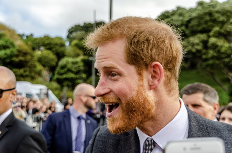 Prince Harry’s UK Tour Was A Nightmare For Prince William