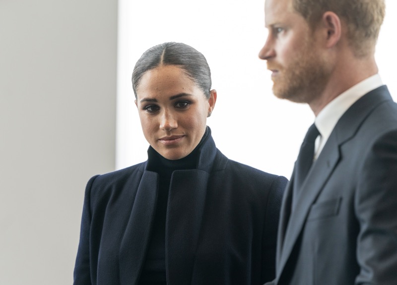 Did Prince Harry And Meghan Leak Details About The Royal Family Again?
