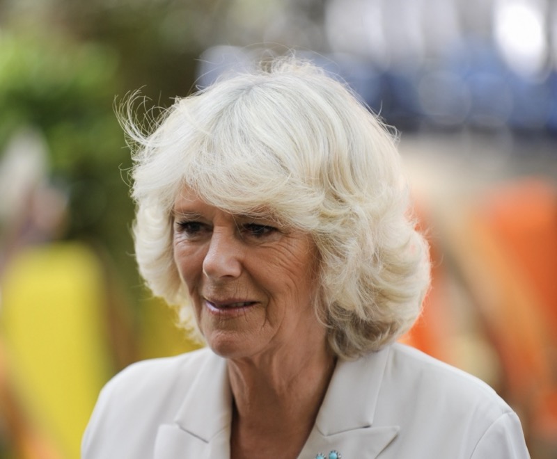 Queen Camilla Furious Over King Charles And Prince Harry’s Meeting