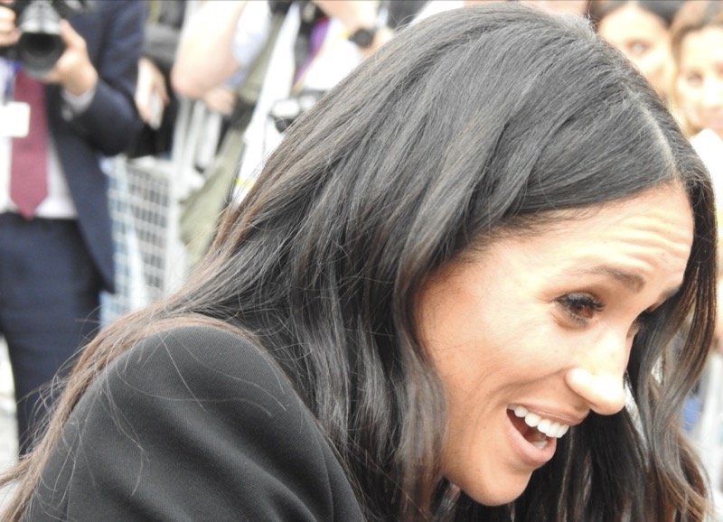 Meghan Markle Is Obsessed With Becoming A Billionaire