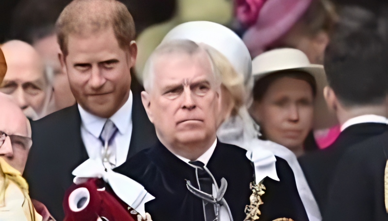 Prince Andrew might move to an Arabian Palace - BBC Via Sky News Australia