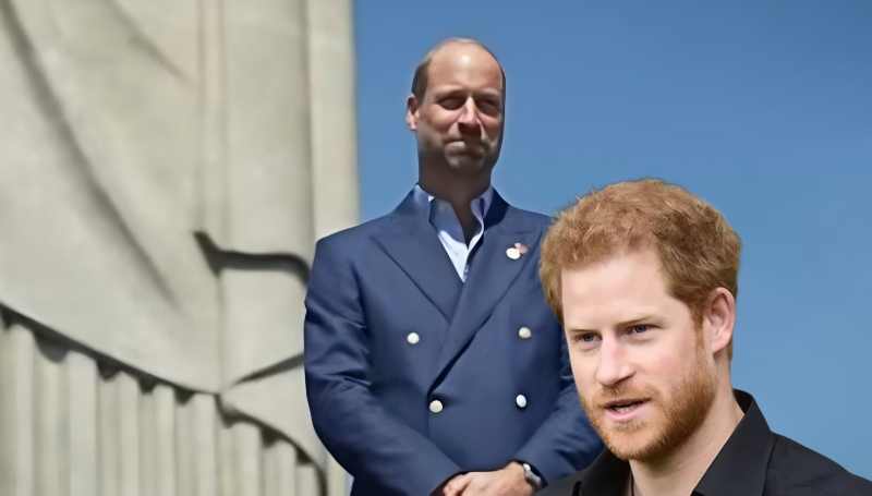 Prince William is a wall for Prince Harry - Royal Family Channel - YouTube