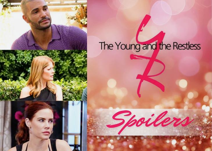 The Young And The Restless Spoilers Mon, Nov 10: Holden’s Jeopardy, Sally’s Battle, Phyllis Reminded