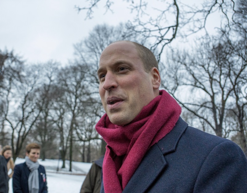 Prince William Is Meddling In Prince Harry’s Affairs