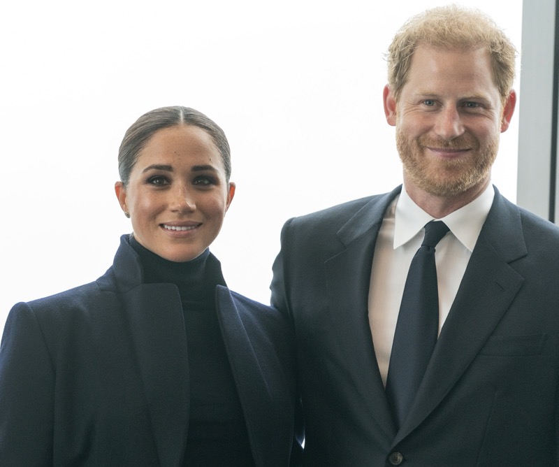 Prince Harry And Meghan Markle Have Another Failed Project On Their Hands
