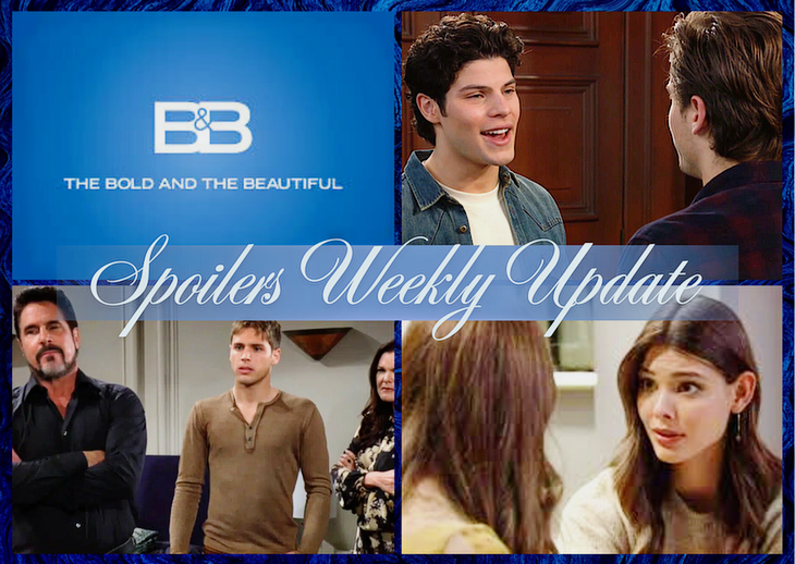 B&B' Spoilers Weekly Update March 16-20: Office Brawl, Family Divided, Dylan vs Electra