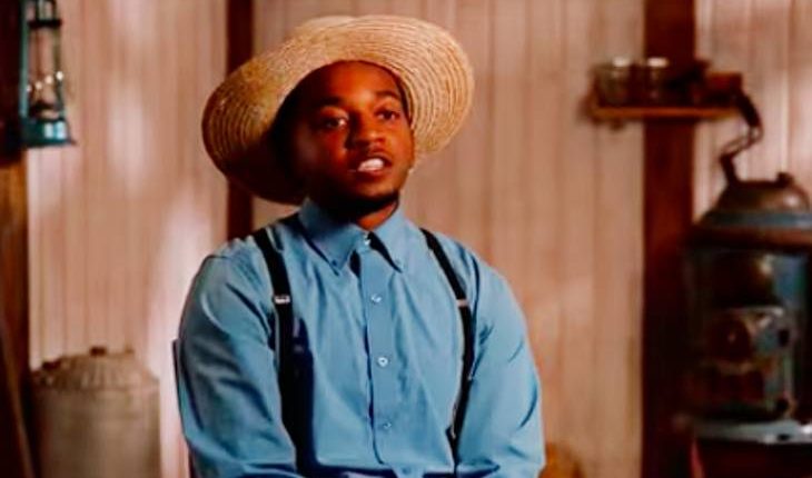 Suddenly Amish