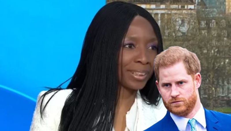 Sentebale chair Sophie Chandauka lawsuit Prince Harry Sky News