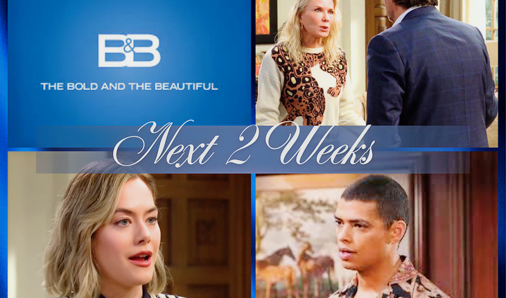 The Bold And The Beautiful