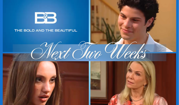 The Bold And The Beautiful