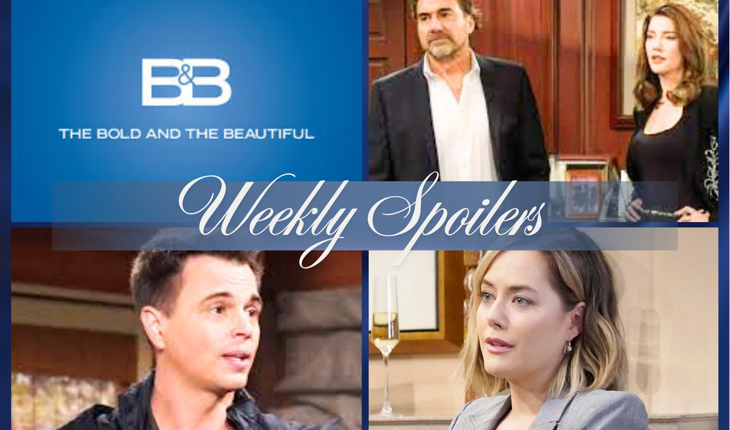 The Bold And The Beautiful