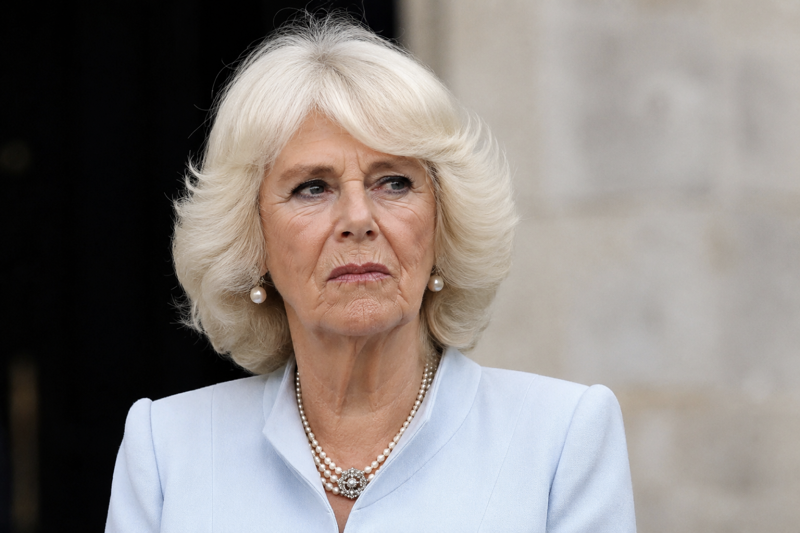 Queen Camilla Acting Like A Thorn For Prince Harry Again?