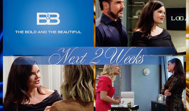 The Bold And The Beautiful