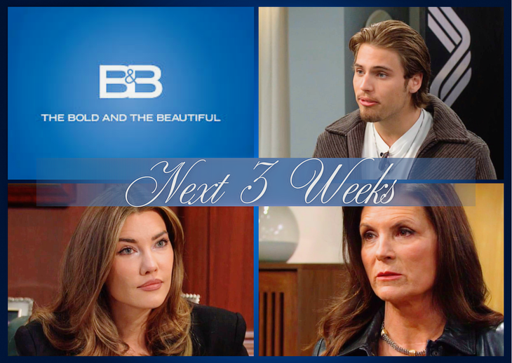 The Bold And The Beautiful Spoilers Next 3 Weeks: Angry Confrontations, Couples In Crisis