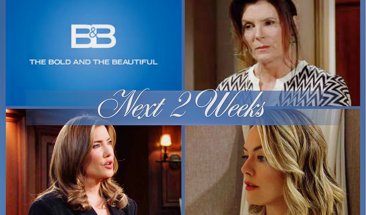 The Bold and the Beautiful