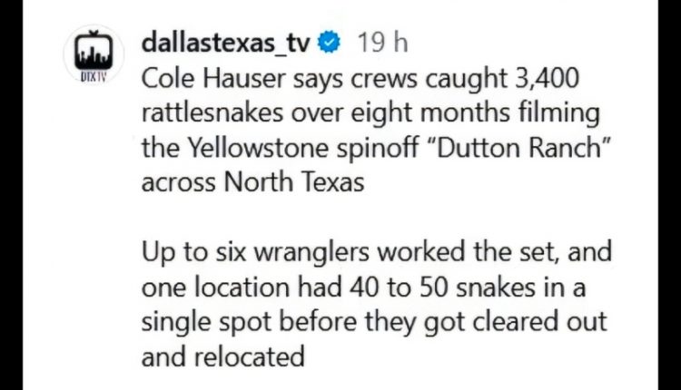 The snake story – @DallasTexasTV – Instagram