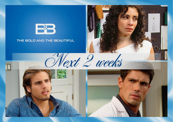 The Bold And The Beautiful Spoilers Next 2 Weeks: Daphne’s Heartbreak, Will’s Looming Insanity