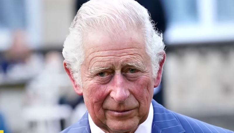 King Charles and Prince William go digital media with royal family news - Via ET - YouTube