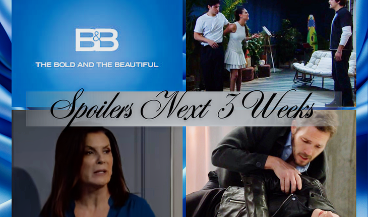 The Bold And The Beautiful
