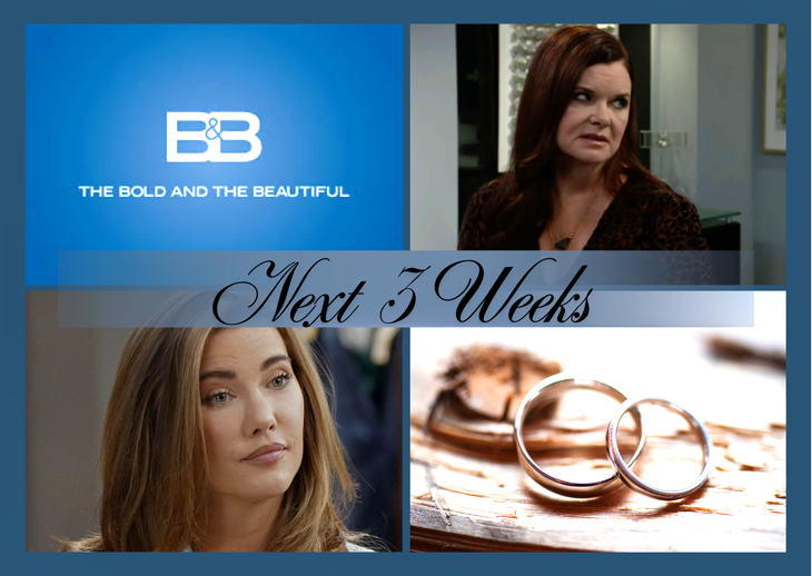 The Bold And The Beautiful Next Three Weeks Spoilers: A Beach Surprise, Feuds Increase, Someone Proposes
