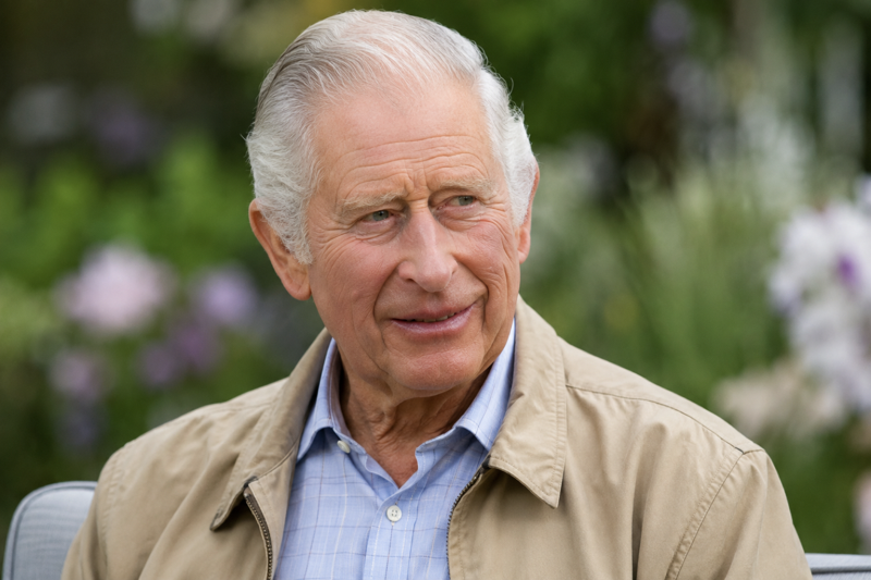This Is How King Charles Really Feels About Prince Harry Coming Back To The UK