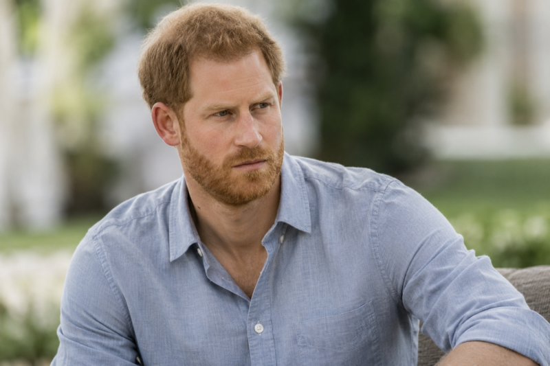 Prince Harry Determined to Win William Back – But Has the Royal Rift Gone Too Far?