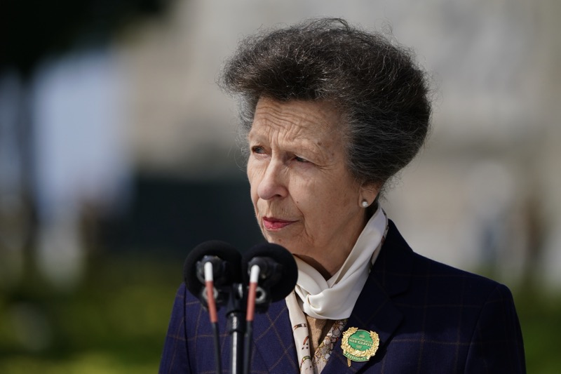 Princess Anne Blasts Prince William & Harry’s Bitter Feud – King Charles Needs His Sons?